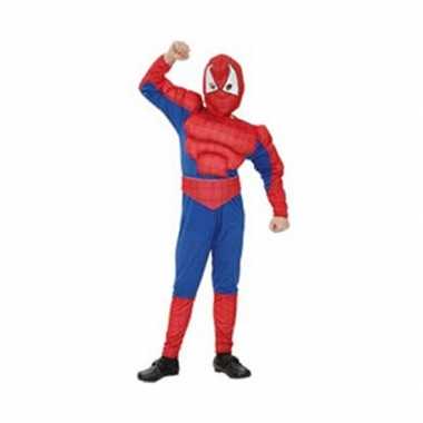 Feest spinnenheld verkleedkleding