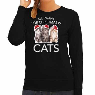 Kitten kerst sweater / verkleedkleding all i want for christmas is cats zwart voor dames