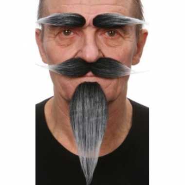 Verkleedkleding set grijs snor, baard en wenkbrauwen