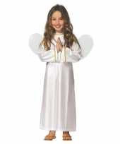 Engel ariel verkleed verkleedkleding jurk voor meisjes