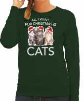 Kitten kerst sweater verkleedkleding all i want for christmas is cats groen voor dames