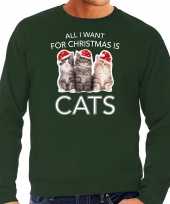 Kitten kerst sweater verkleedkleding all i want for christmas is cats groen voor heren