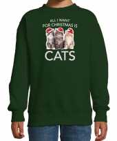 Kitten kerst sweater verkleedkleding all i want for christmas is cats groen voor kinderen