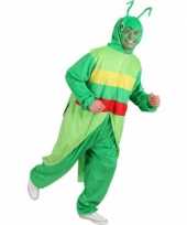 Sprinkhaan verkleedkleding voor volwassenen