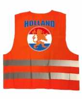 Veiligheidshesje holland met oranje leeuw ek wk supporter verkleedkleding voor volwassenen